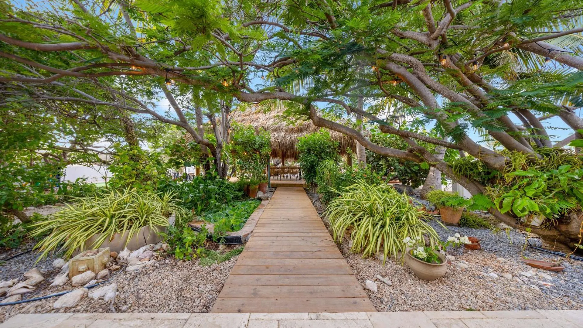 Willa Boca Beach House New Lux 6 Bed 6 Bath Pool Walk To Beach Palm Beach