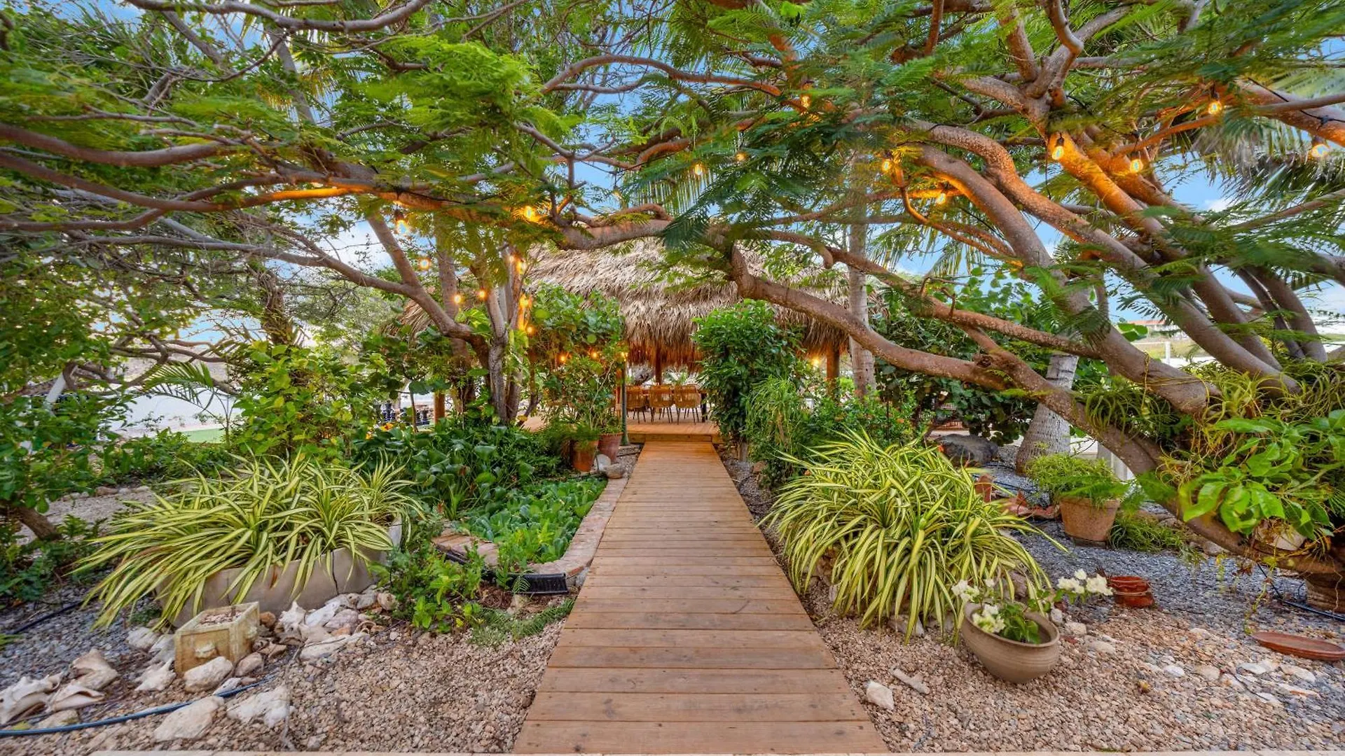 Boca Beach House New Lux 6 Bed 6 Bath Pool Walk To Beach Palm Beach Aruba